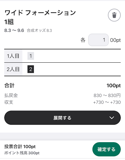 ウィンチケットの投票プレビュー画面