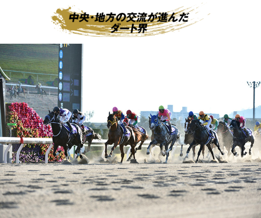 地方競馬と中央競馬の馬が交流する「ダートグレード競走」