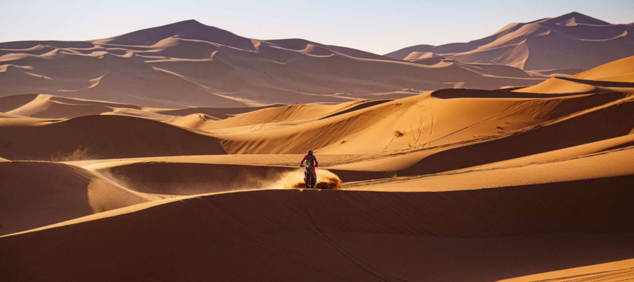 FIM 世界ラリーレイド選手権